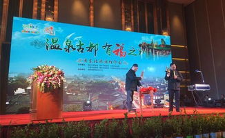 專業(yè)票務(wù)代理 開啟便捷旅游的鑰匙